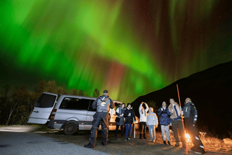 Tromsø: Small-Group Aurora Tour with Free Photos (8 Hours)