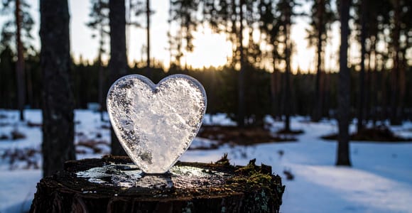 Kiruna: Ice Sculpting & Campfire Lunch in the Arctic Taiga