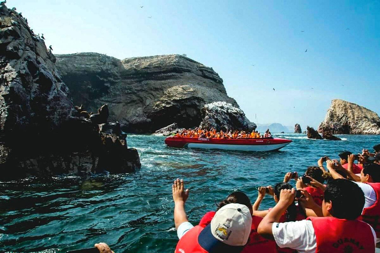 Tour de Lima às Ilhas Ballestas e Huacachina