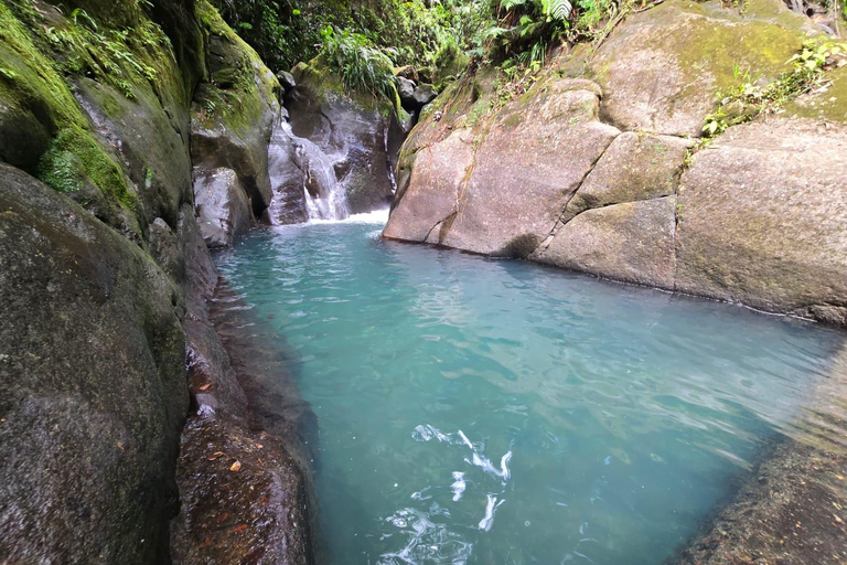 4x4 Land Rover day trip with Fanm Sosyal Kréyol in Guadeloupe Half-Day