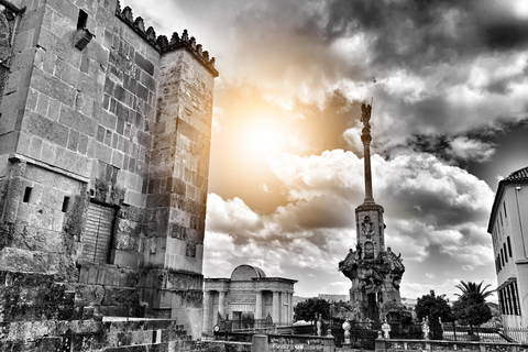 Visitor Center, Mosque-Cathedral, Alcázar (gardens), and Jewish Quarter Mosque-Cathedral Visitor Center: Private Guided Tours