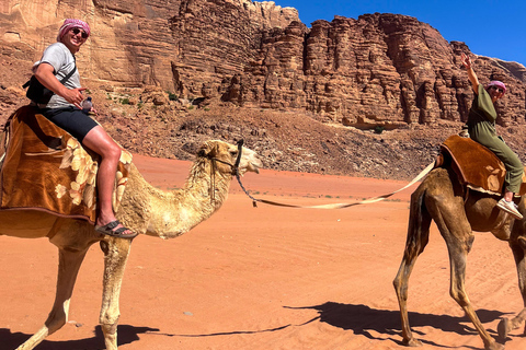 Wadi Rum: 2-Day Southern Desert Tour, Camel & Stargazing