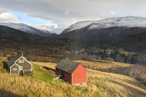 Bergen: Early Express Flåm Railway & Nærøyfjord Cruise