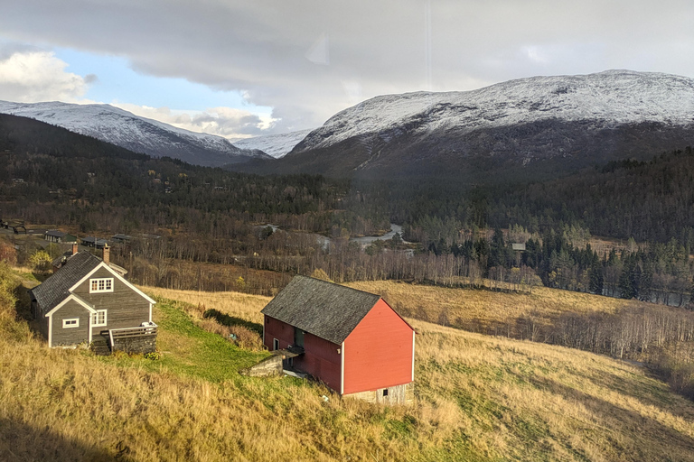 Bergen: Early Express Flåm Railway & Nærøyfjord Cruise