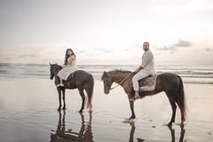 Horse riding | Kuta things to do in Canggu