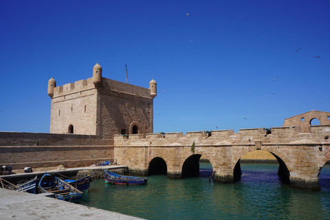 From Marrakech: Essaouira Day Trip with Beach & Medina Essaouira Small Group Day Trip