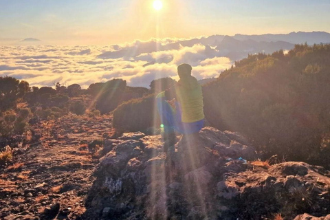 KILIMANJARO: Mt. Kilimanjaro Shira Plateau Tageswanderung