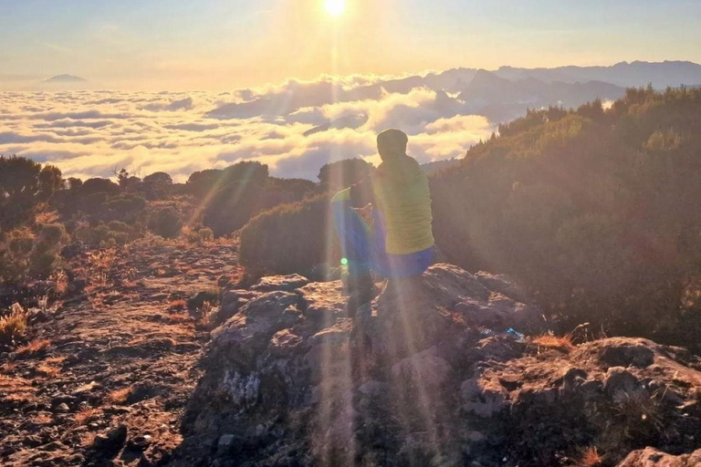 KILIMANJARO : Randonnée d&#039;une journée sur le plateau de Shira du Kilimandjaro