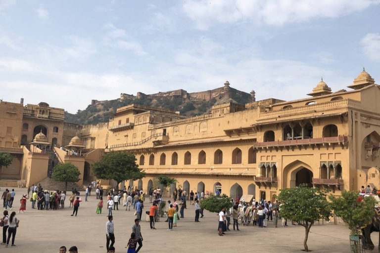 Desde Delhi: Visita guiada privada de la ciudad de Jaipur con trasladosSólo servicios de coche con conductor y guía turístico
