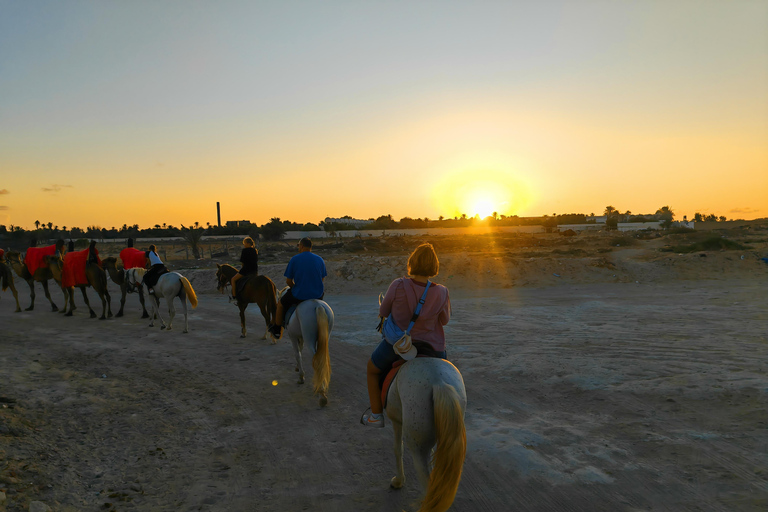 杰尔巴岛：在蓝色泻湖骑骆驼和骑马。杰尔巴：蓝色泻湖骑骆驼和骑马之旅。
