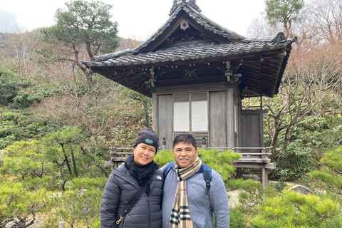 Kyoto: Private Tour with Licensed Guide & Vehicle Regular Car (Up to 2)