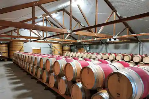 Marlborough: Full-Day Wine Tour