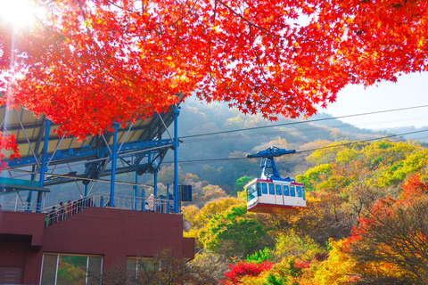 Seúl: Parque Nacional Naejangsan, tour de un día para ver el follaje otoñalVisita compartida a Naejangsan, encuentro en la estación de Myeongdong