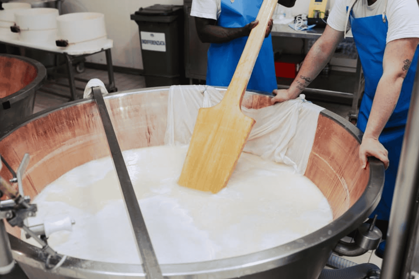 Parmesan Cheese Factory Tour & Tasting near Parma