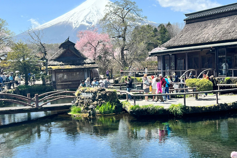 Depuis Tokyo/Yokohama : Excursion privée d'une journée au Mont Fuji et à Hakone