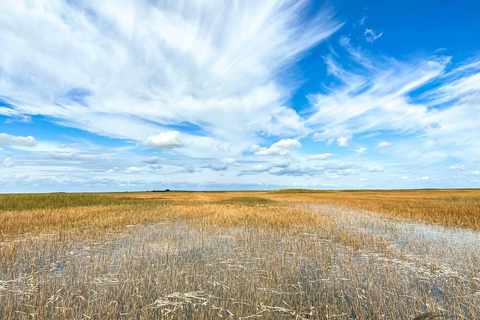 Everglades: Semi-Private or Private Airboat Tour Everglades: Private Airboat Tour 2hrs