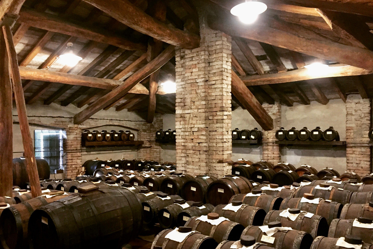 Modena: Visit and Tasting at an Antique Vinegar Cellar Modena: Guided tour of the Antica Acetaia with vinegar tasting
