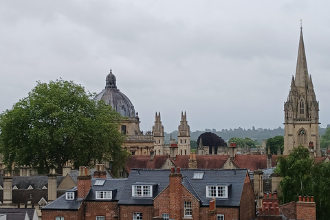 FRANKREICH Private Bespoke Tour Universität und oder Harry Potter