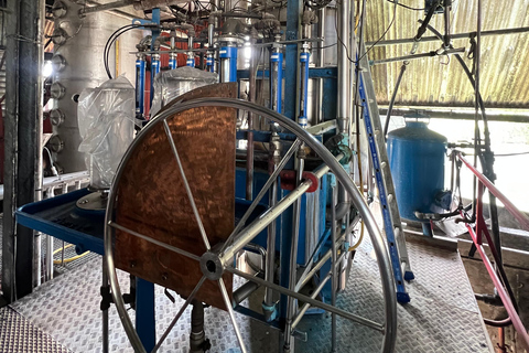 Guadeloupe half-day: immersive tour in the heart of sugar cane An immersive half-day in the heart of Guadeloupe's sugar cane