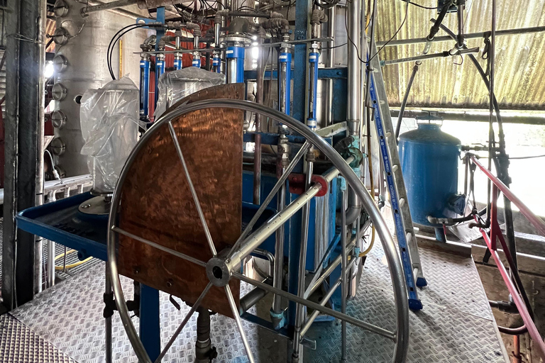 Guadeloupe half-day: immersive tour in the heart of sugar cane An immersive half-day in the heart of Guadeloupe's sugar cane