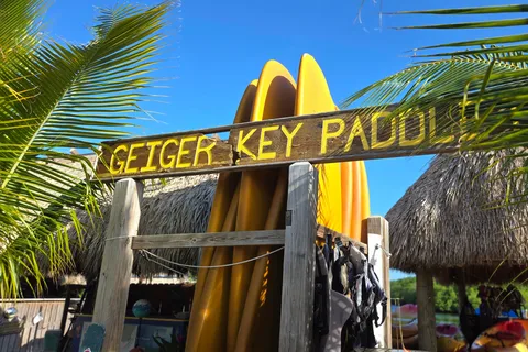 Key West: Mangrove Kayak or SUP Eco Tour
