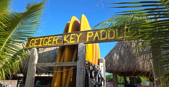 Key West: Mangrove Kayak or SUP Eco Tour