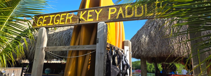 Key West : Excursion écologique en kayak ou en SUP dans la mangrove