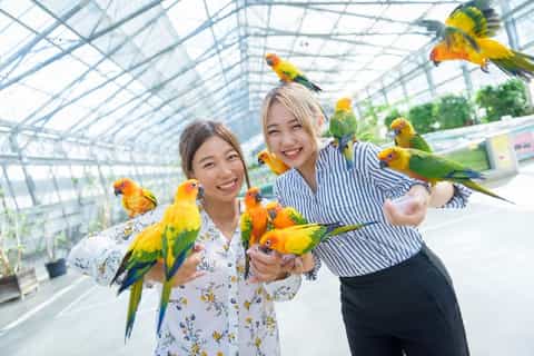 掛川花鳥園 チケット＆ツアー | ゲットユアガイド | GetYourGuide