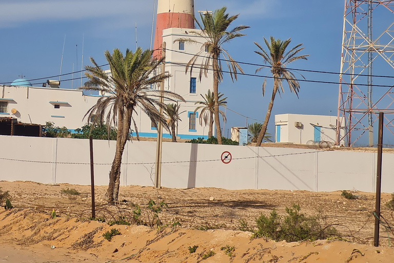 正宗杰尔巴：日落马车之旅和东方小吃正宗杰尔巴岛：日落马车之旅和免费东方小吃