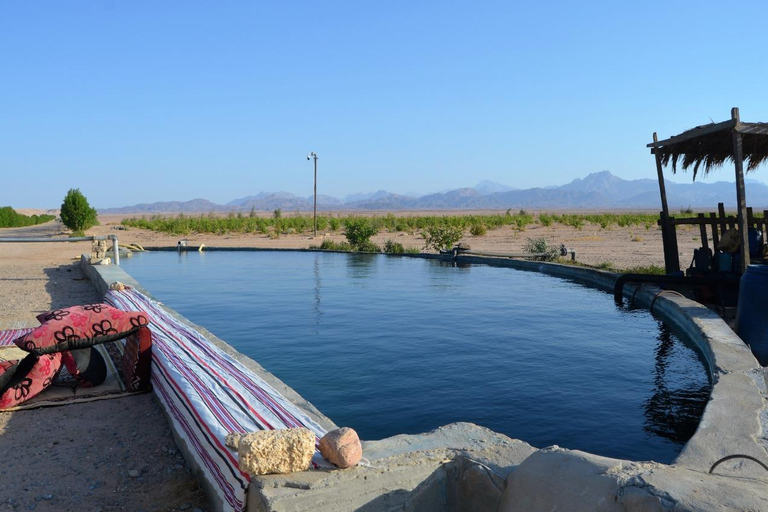 Passeio de camelo com pôr do sol e observação de estrelasServiço de busca no hotel em Hurghada