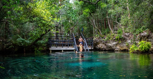 Clear green-blue lagoon in dense forest, a wooden platform with steps leading into the water, two swimmers, fallen leaves drifting on the surface
