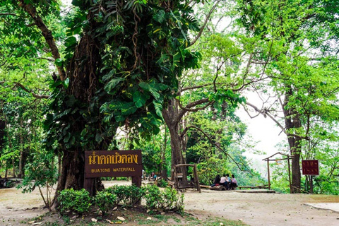 Doi Suthep-templet, orkidéodling och Sticky Waterfall med lunch