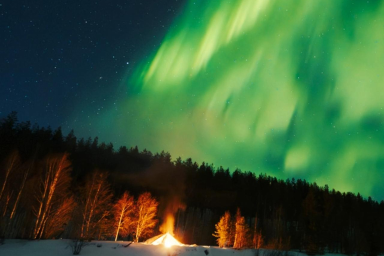 Northern Lights Tour Sleigh Ride