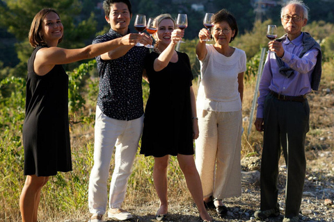 Nizza: Weinbergstour mit WeinverkostungOption mit Transport