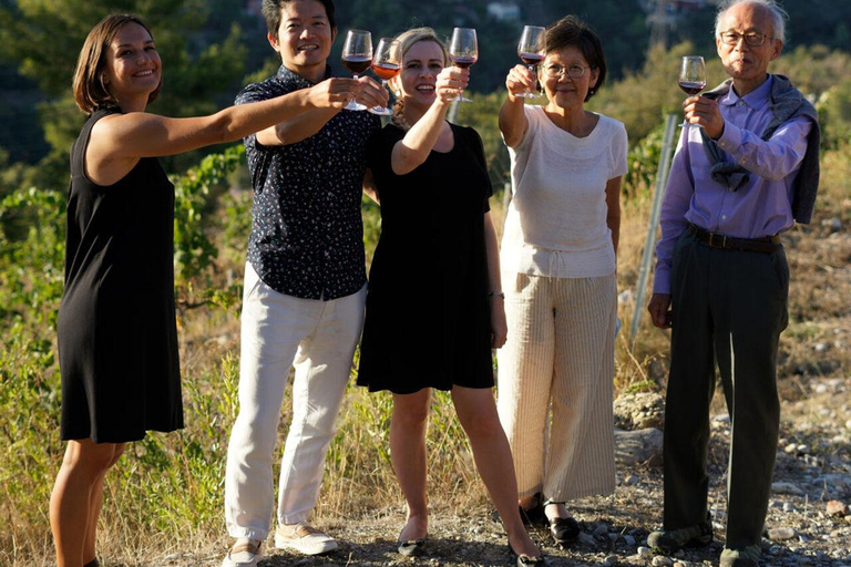 Nice : Visite des vignobles avec dégustation de vinOption avec transport