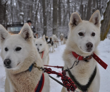 USHUAIA | White Adventure