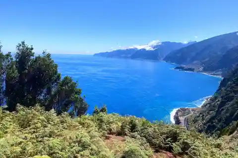 Depuis Funchal : visite des villages et falaises du sud de Madère