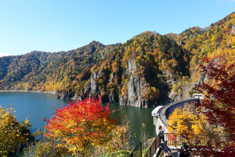 Sapporo: Hokkaido Jozankei Hoheikyo Toya Autumn Leaves Trip Premium Pick‑up Small‑Group Tour