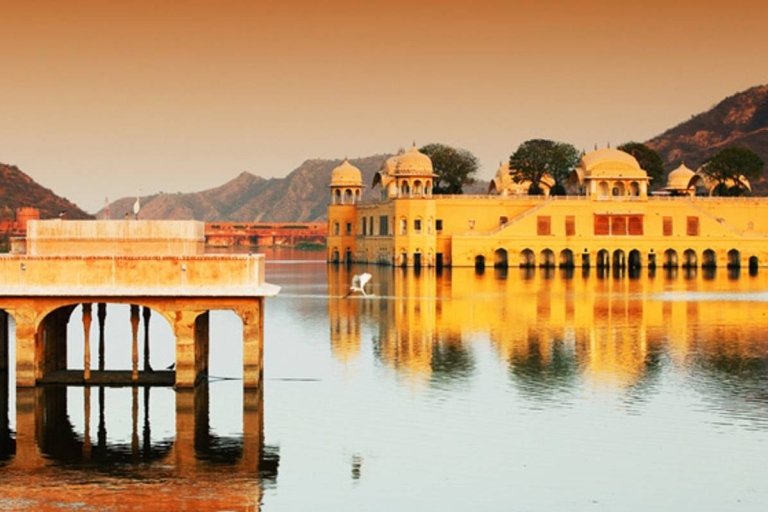 Depuis New Delhi : visite de Jaipur et du fort d'Amer en voiture le même jourTransp privé, guide touristique, billets d'entrée aux monuments et déjeuner
