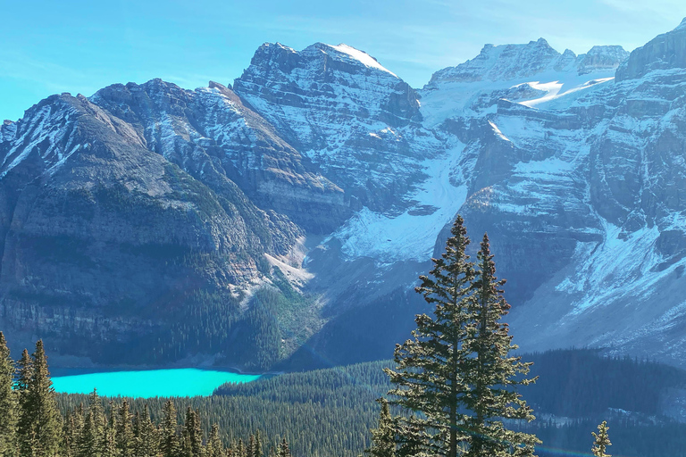 From Banff: Shuttle to Moraine Lake and Lake Louise Moraine Lake: Sunrise