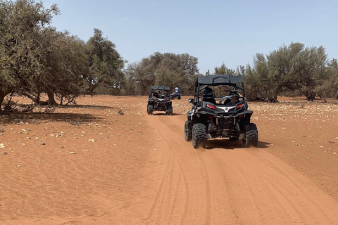 Agadir: Safari en buggy d&#039;une demi-journée dans les dunes du désertDépart d&#039;Agadir