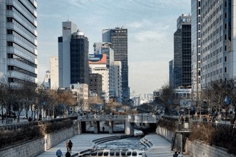Seoul: Private Night Tour Pick And Drop With English Guide