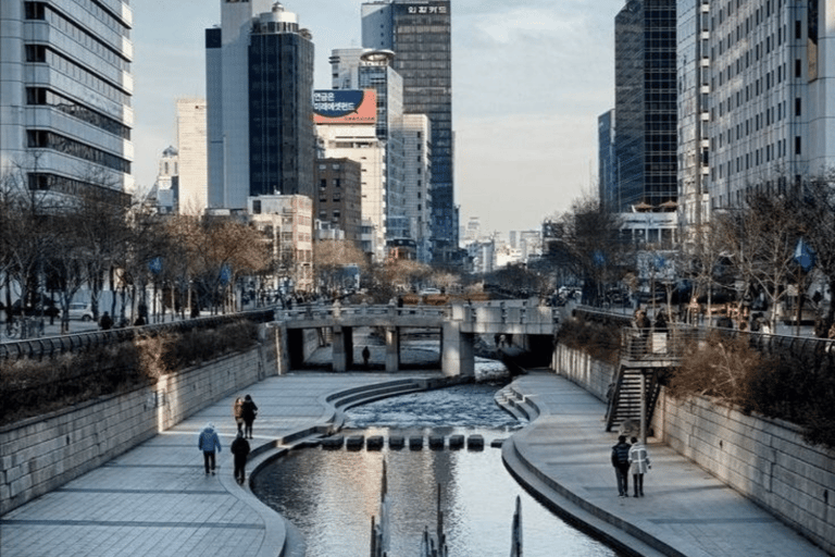 Seoul: Private Night Tour Pick And Drop With English Guide