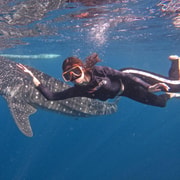 Cebu: Oslob Whale Shark, Tumalog Falls, and Sumilon Sandbar