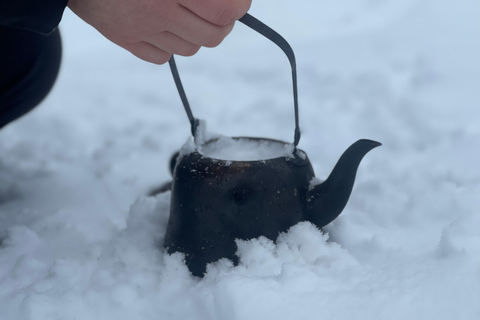 Arctic Gateway: Snowshoeing Expedition in Lapland