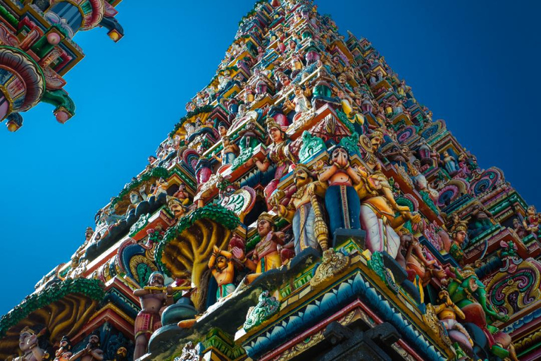 Negombo: Private City Tour with Ayurvedic Massage & Lunch