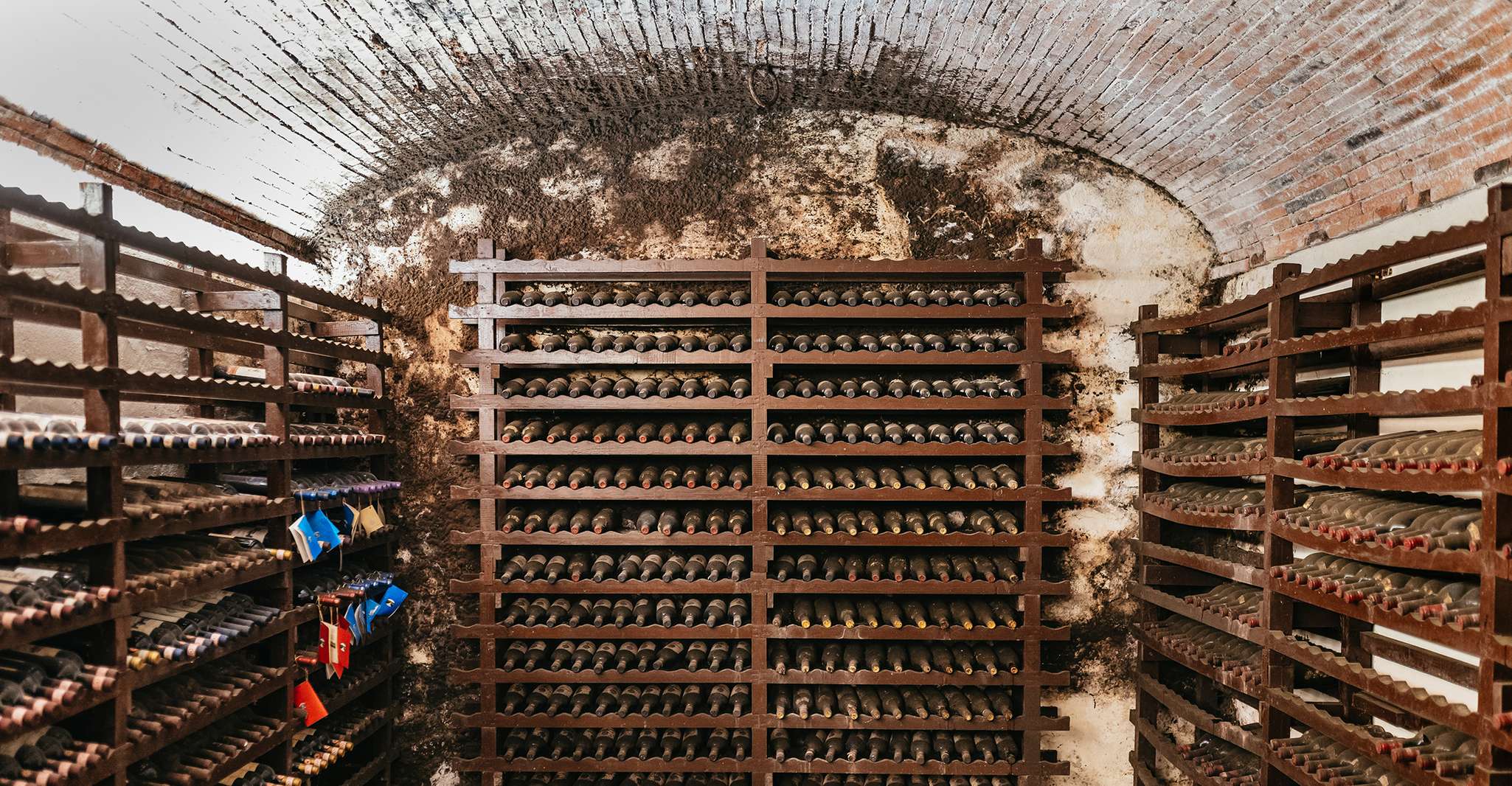 From Florence: Small Group Wine Tasting Tour to Tuscany photo 20