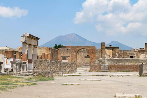 Rome: Vesuvius, Pompeii or Herculaneum by High-speed Train Pompeii French Guided Tour & Vesuvio Entry ticket