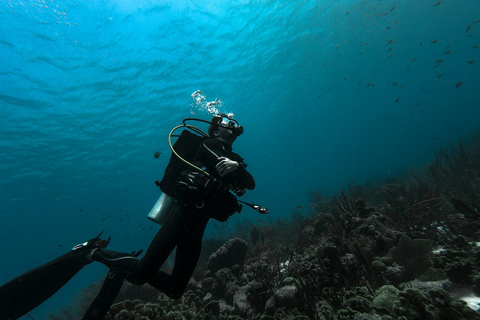 Antalya: Waterfall Diving & Snorkeling with Lunch & Transfer
