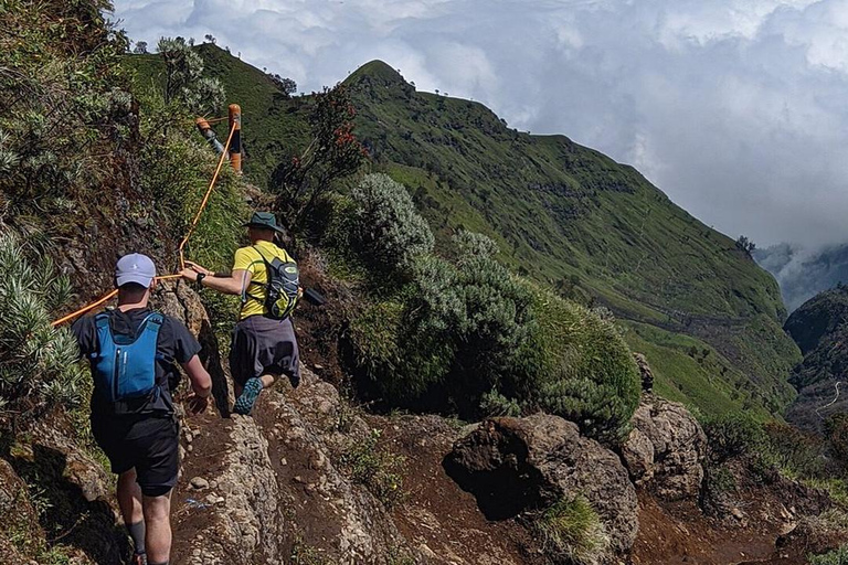 Circuit de 2 jours à Borobudur avec camping et randonnée à MerbabuCircuit de 2 jours à Borobudur avec camping et randonnée au Merbabu
